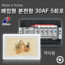 상도전기 가정용 분전반 모음 30A 50A 3회로~10회로 매입 노출 차단기, [분전함09-1] 액자 매입분전함30AF 5회로(배선용)