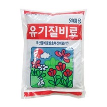 그린플랜트 블루베리 아로니아 식용식물 약용식물 모종 식물 화분, 1개