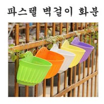 벽걸이화분 행잉 공중 걸이화분, 대형