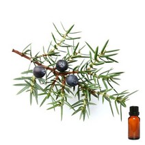 비누 만들기 재료 에센셜 아로마 오일 - 4_02 주니퍼베리, 4_02 주니퍼베리 10ml