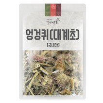 조은약초 엉겅퀴 전초 (대계초) 200g 인삼/한차재료>>기타한차재료, 1개” class=”wr-img”></a></div></p></div></p></div></p></div><div class=