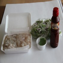 웰빙미래 광어회 광어450g 비빔야채 고추냉이 초장소 2~3인용, 1팩, 450g