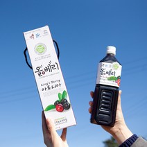 셋째딸농부 국내산 아로니아원액 100% 무첨가진액, 1개, 1L