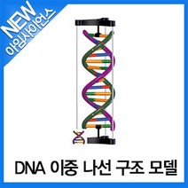 [아임사이언스]DNA 이중 나선 구조 모델