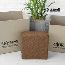 코코피트 달팽이흙 코코핏 블럭, 5kg, 1