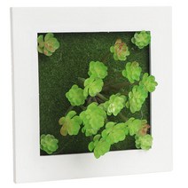 제이앤씨 조화액자, 화이트액자-크라슐라속