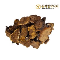 동의한약나라 명품 상황버섯, 1개, 1kg