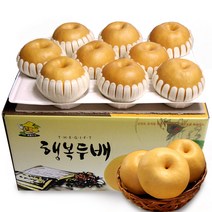 소담촌 2022 수확 햇배(가정용/흠과), 1박스, 15kg(15~20과)/대과