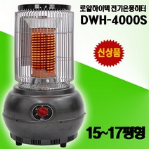 로얄하이텍 세라믹 온풍 전기히터, DWH-4000S