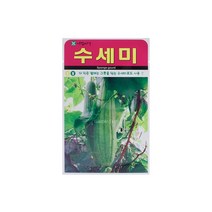 수세미씨앗 25립, 1개