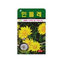 민들레씨앗 1000립