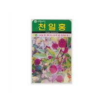 천일홍씨앗 100립