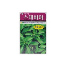스테비아(허브)씨앗 50립