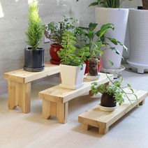 엘린까사 소형 600 원목화분정리대, 대(무도장), 1개