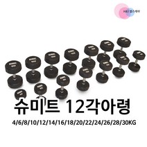 슈미트 12각아령, 블랙, 20kg