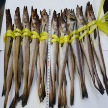 웰빙건어물 명태역거리 반건조명태 명태코다리 20마리 30cm내외 하절기아이스박스포장, 2kg