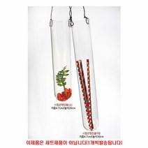 화분백화점 유리 화병 생활유리 유리볼 시험관행잉볼, 시험관행잉볼-소(1개)