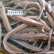 굴철철 바다장어 통영꼼장어 12시이전결재 당일발송, 1개, 붕장어3kg소+양념장1개