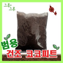 가성비 좋은 우리시대와윤리 중 인기 상품 소개