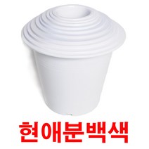 화분백화점 플라스틱화분 화분받침 물받침 CW현애분(백색), 제품명
