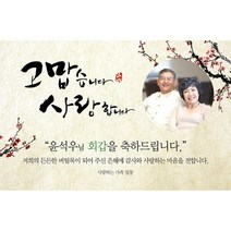 애니데이파티 오리엔탈매화 현수막 (포토형), 회갑(환갑)