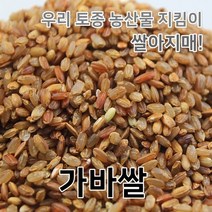 2022년 국산 햇 가바쌀 가바현미, 1개, 300g