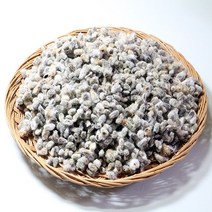 다온약초 국내산 목화씨앗 면화자, 300g, 1개