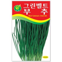 뚝섬적축면 상추 씨앗 3000립 / 상추씨앗 채소씨앗, 06_그린벨트부추(1000립)