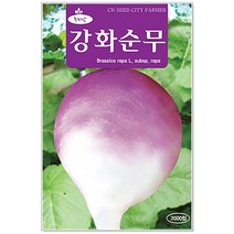 청농종묘 신선초 씨앗 100립 신선초씨앗 신선초씨 당귀 씨, 01_강화순무(2000립)