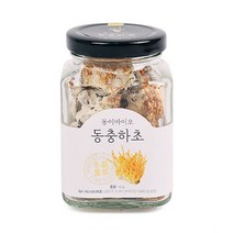 동이바이오 누에 밀리타리스 동충하초, 1개, 40g