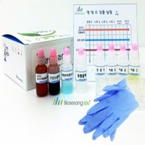 오피스안 영양소를찾아라(5인KIT)영양소검출실험