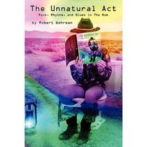 The Unnatural ACT: Rock Rhythm and Blues in the Nam Paperback, iUniverse
