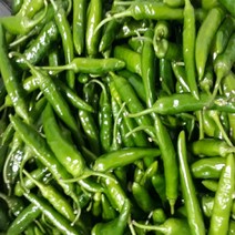 [맘스허브] 청양고추 1kg, 1팩