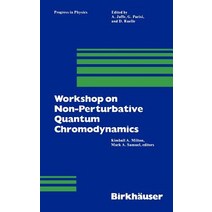 Workshop on Non-Perturbative Quantum Chromodynamics Paperback, Birkhauser
