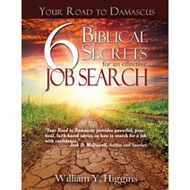Your Road to Damascus: 6 Biblical Secrets for an Effective Job Search Paperback, Mindware Publishing