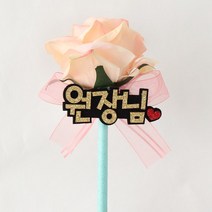 핑크캔디 장미볼펜_3글자(캔디체), 03.장미(피치)볼펜_3글자(실버_캔디체)+비닐포장재료, 1개