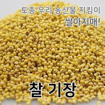 2022년 국산 찰기장 기장쌀 기장 쌀아지매, 1개, 1kg
