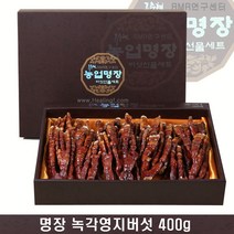 무농약 영지버섯 (녹각 편각 혼합세트), 1개, 영지버섯 녹각 400g