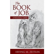 The Book of Job: A Theological Scandal Paperback, Linx Corporation