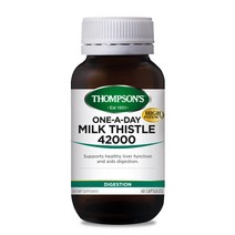 톰슨 밀크시슬 42000 60캡슐 1통 Thompson Milk Thistle, 1개, 200g
