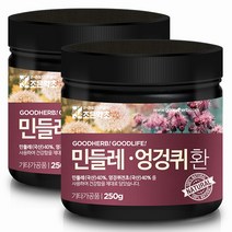 조은약초 프리미엄 민들레 엉겅퀴 환 250g x 2개