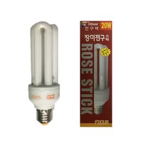 장미전구 20W 전구