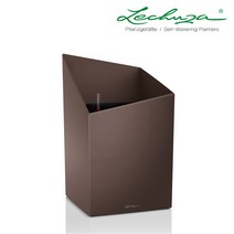 레츄자 쿠르시부, 커피색(무광)