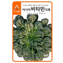 아시아종묘 비타민씨앗 비타민다채 (4000립), 1개