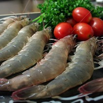 신안새우 신안 프리미엄 국내산 왕새우 새우, 1kg, 1개