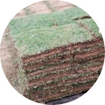 행복한정원 롤잔디 40*60 3장, 3개