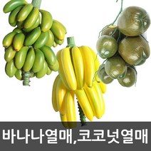 호가 코코넛 열매 조화열매 인조 과일 모형 장식 야자나무 조화나무