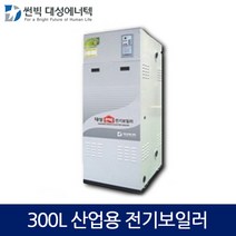 대성에너텍 축열식 전기보일러 산업용 300L, DBE-25