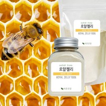 바른건강 여왕벌을 키우는 특별식 로얄제리 로얄젤리분말 가루 100%, 50g, 1개