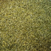호박씨1kg 견과류 씨앗, 1개, 1kg